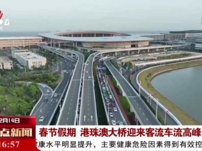 春节假期 港珠澳大桥迎来客流车流高峰