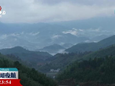 【今日立春】万物生长 不负春光