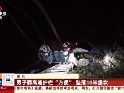 重庆：男子翻高速护栏“方便” 坠落10米堡坎