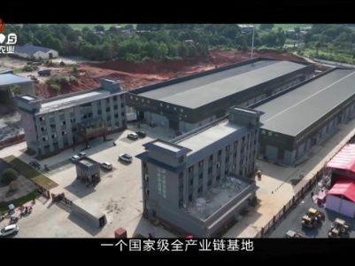 三农头条20240216