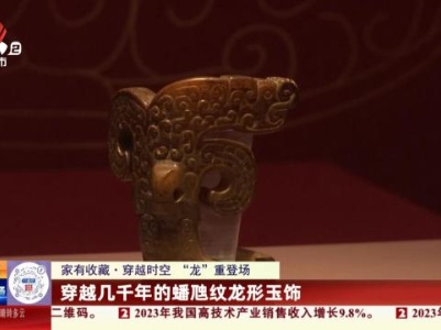 【家有收藏·穿越时空“龙”重登场】穿越几千年的蟠虺纹龙形玉饰