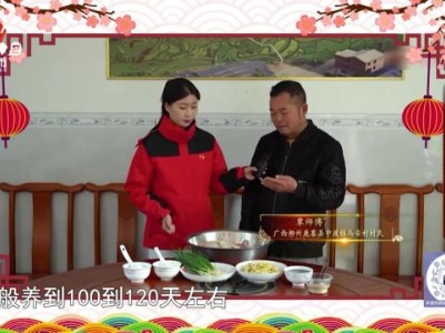 地宝当家20240214