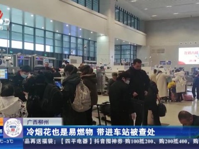 广西柳州：冷烟花也是易燃物 带进车站被查处