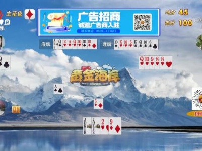 谁是赢家20240207