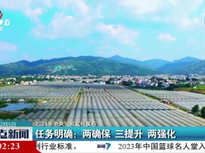 【2024年中央一号文件发布】任务明确：两确保 三提升 两强化