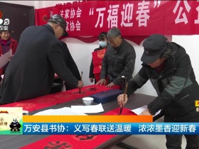 万安县书协：义写春联送温暖 浓浓墨香迎新春