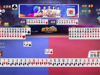谁是赢家20240227