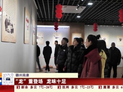 赣州南康：“龙”重登场 龙味十足