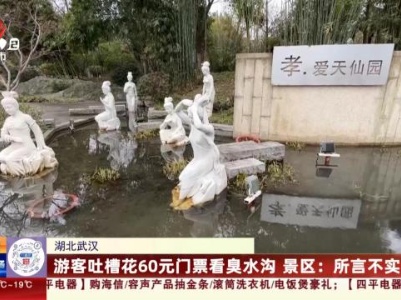 湖北武汉：游客吐槽花60元门票看臭水沟 景区：所言不实