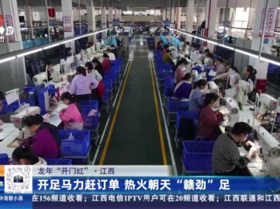 都市现场20240228
