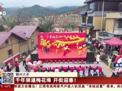 赣州大余：千年驿道梅花埠 开街迎春！