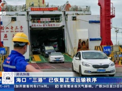 海口“三港”已恢复正常运输秩序