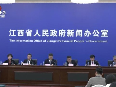 三农头条20240229