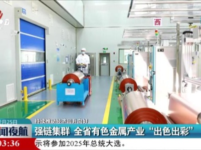 【持续推动经济回升向好】强链集群 全省有色金属产业“出色出彩”