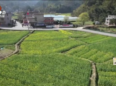 新闻晚高峰20240311