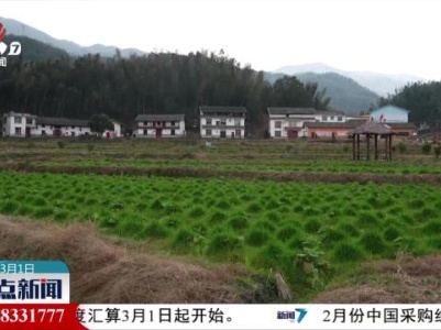整点新闻20240301 14:00