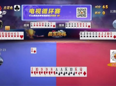 谁是赢家20240311