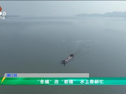 三农头条20240317