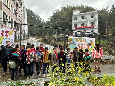 宜春市明月山洪江镇：植树添新绿 共筑绿色梦