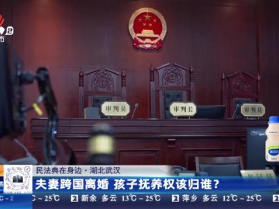 【民法典在身边】湖北武汉：夫妻跨国离婚 孩子抚养权该归谁？