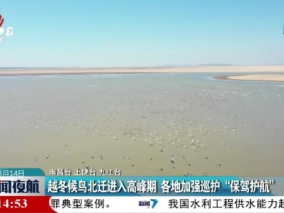 越冬候鸟北迁进入高峰期 各地加强巡护“保驾护航”