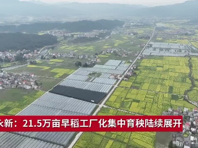 吉安永新：21.5万亩早稻工厂化集中育秧陆续展开