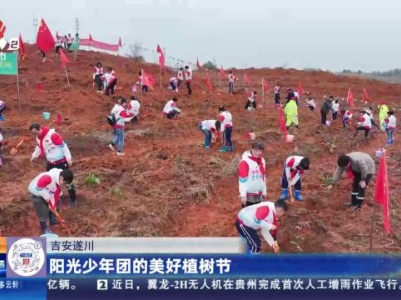 吉安遂川：阳光少年团的美好植树节