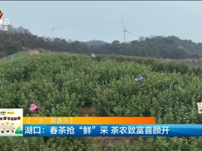 新闻晚高峰20240325