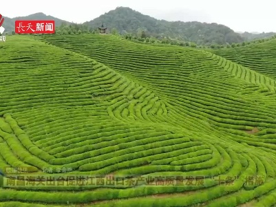 南昌海关出台促进江西出口茶产业高质量发展“十条”措施