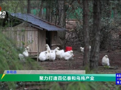 三农头条20240304