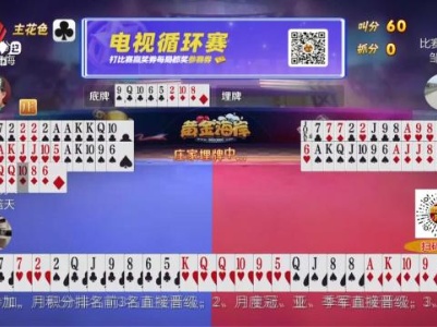 谁是赢家20240310