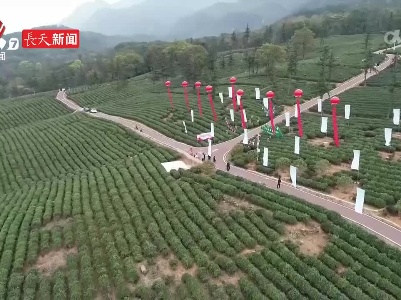 2024九江国际名茶名泉博览会举行