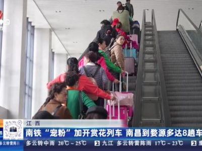 江西：南铁“宠粉”加开赏花列车 南昌到婺源多达8趟车