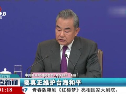 【聚焦两会·外交主题记者会】王毅：所有炎黄子孙和龙的传人都应共同反对“台独” 支持和平统一
