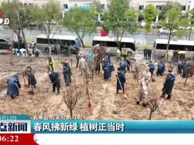 春风拂新绿 植树正当时