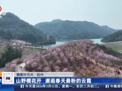 都市现场20240311