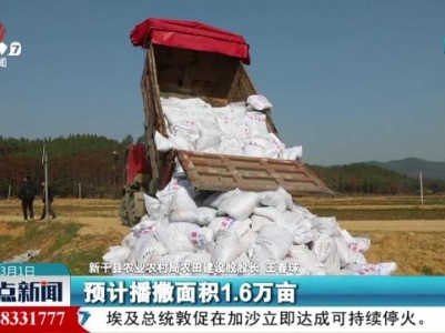 整点新闻20240301 10:00