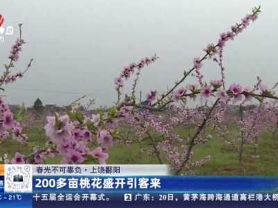 【春光不可辜负】上饶鄱阳：200多亩桃花盛开引客来