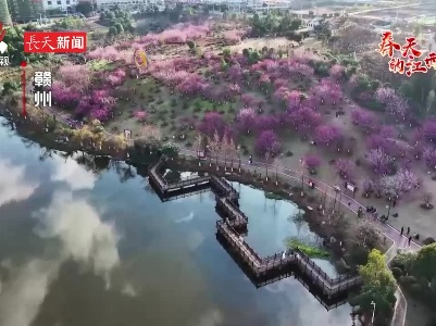 【春天的江西】