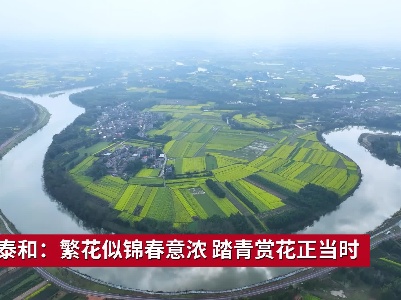 吉安泰和：繁花似锦春意浓 踏青赏花正当时