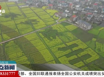 “油”画江西醉游人