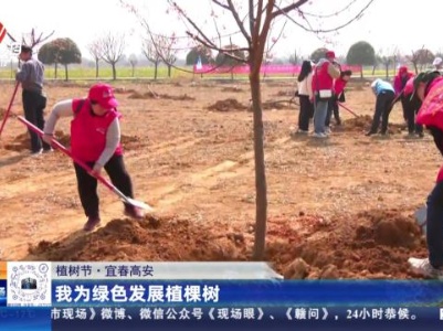 【植树节】宜春高安：我为绿色发展植棵树