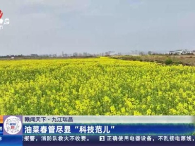 【赣闻天下】九江瑞昌：油菜春管尽显“科技范儿”