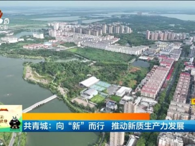 新闻晚高峰20240307