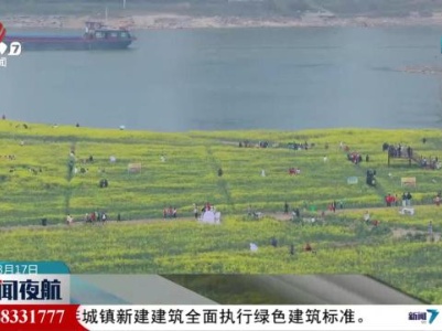 赏花游火热 “花经济”绽放