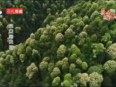 春天的江西