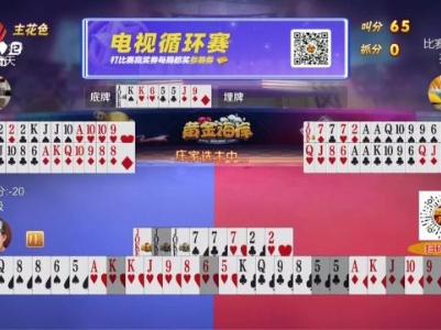 谁是赢家20240308