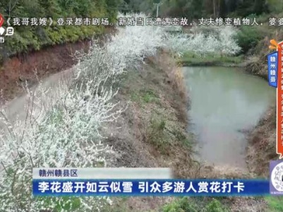 地宝当家20240315
