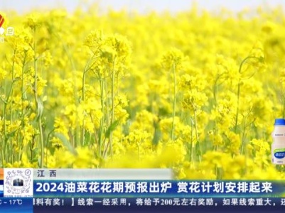 江西：2024油菜花花期预报出炉 赏花计划安排起来