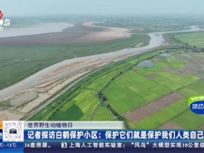 都市现场20240303